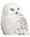 Figurină The Noble Collection Movies: Harry Potter - Hedwig (Magical Creatures), 24 cm - 3t