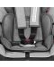 Scaun auto Lorelli Navigator - Black Crowns 9-36 kg	 - 6t