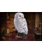 Figurină The Noble Collection Movies: Harry Potter - Hedwig (Magical Creatures), 24 cm - 5t