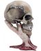 Figurina Nemesis Now Music: Metallica - Sad But True Skull, 22 cm - 1t