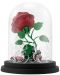 Figurină ABYstyle Disney: Beauty and the Beast - Enchanted Rose, 12 cm - 4t