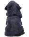 Statuetă Nemesis Now Adult: Gothic - Reaper's Canine, 17 cm - 3t