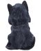 Statuetă Nemesis Now Adult: Gothic - Reaper's Feline, 16 cm - 3t