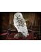 Figurină The Noble Collection Movies: Harry Potter - Hedwig (Magical Creatures), 24 cm - 6t