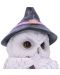 Statuetă Nemesis Now Adult: Gothic - Owl Potion, 17 cm - 6t