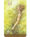 Tarot of the Hidden Realm (78 Cards and Guidebook) - 4t