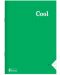 Caiet Keskin Color - Cool, A4, 80 de foi, rânduri largi, asortiment - 2t