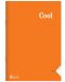 Caiet Keskin Color - Cool, A4, 80 de foi, rânduri largi, asortiment - 1t