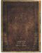 Carnețel Paperblanks - Tesla, 18 х 23 cm, 88 pagini - 3t
