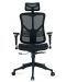 Scaun ergonomic RFG - TECH@LINE, negru - 2t