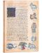 Carnețel Paperblanks - Astronomica, 13 х 18 cm, 88 pagini - 1t