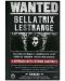 Carnețel CineReplicas Filme: Harry Potter - Se caută Bellatrix Lestrange, format A5 - 1t