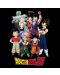 Tricou ABYstyle Animation: Dragon Ball Z - Group - 2t