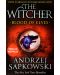 Blood of Elves: Witcher 1 - 1t