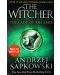 The Lady of the Lake: Witcher 5 - 1t