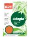 Hartie colorata pentru copiator Rey Adagio - Orange, A4, 80 g, 100 coli - 1t