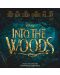Various Artists- INTO The Woods (CD) - 1t