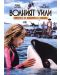 Free Willy: Escape from Pirate's Cove (DVD) - 1t