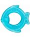 Jucărie pentru dentiție pe apă Wee Baby - Pește albastru - 1t