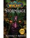 World of Warcraft: Stormrage - 1t