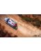 WRC 7 (Xbox One) - 3t