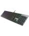 Tastatura mecanica Genesis - Thor 420 RGB, gri - 3t