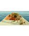 Life of Pi (Blu-ray) - 5t