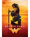 Wonder Woman (DVD) - 1t