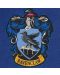 Steagul și banner Cinereplicas Movies: Harry Potter - Ravenclaw - 4t