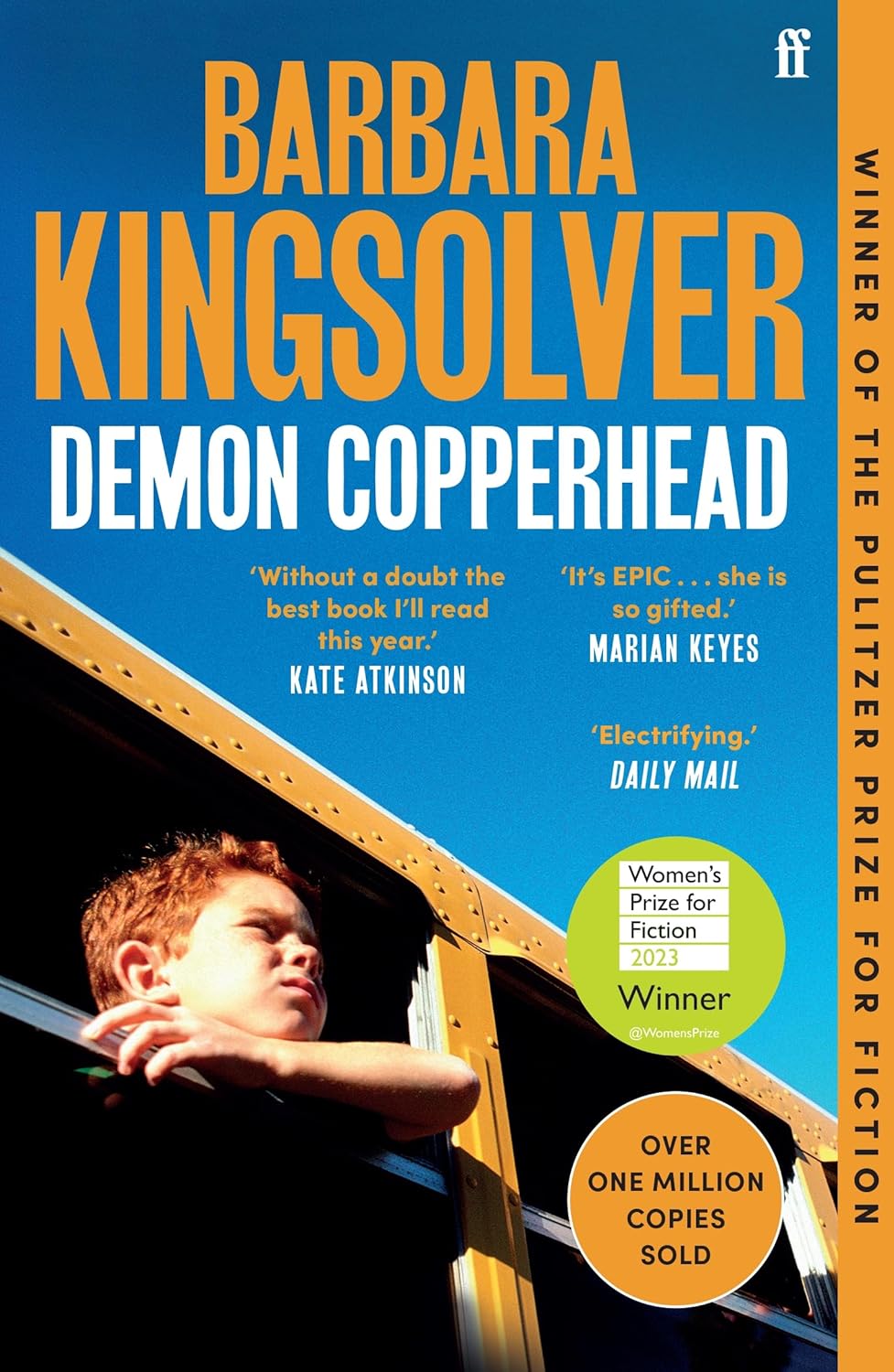 Demon Copperhead - Barbara Kingsolver - imagine 2