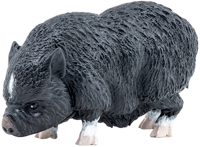 Figurină pentru copii  Papo - Porc domestic vietnamez