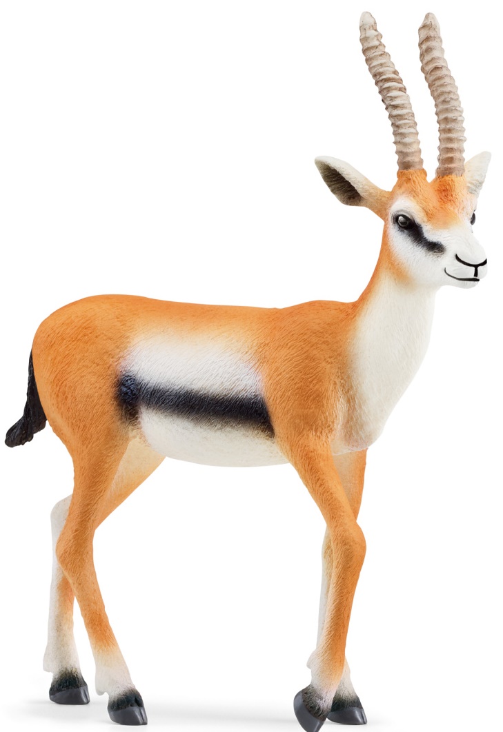 Jucărie pentru copii Schleich Wild Life - Gazelle Thomson
