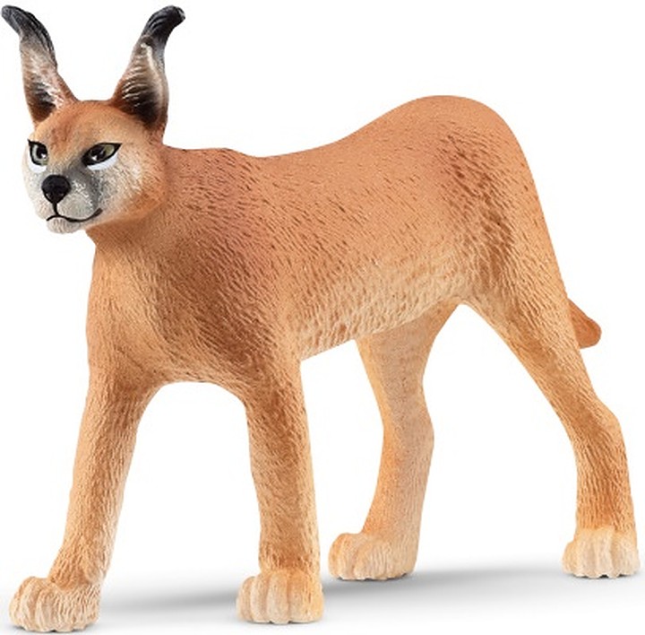 Figurină Schleich Wild Life - Caracal