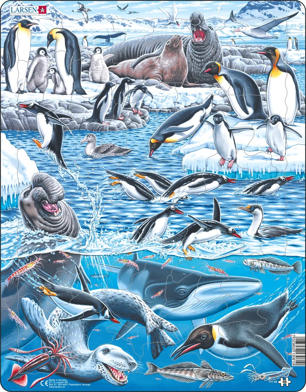 Puzzle pentru copii Larsen din 66 de piese - Antarctica rece și frumoasă