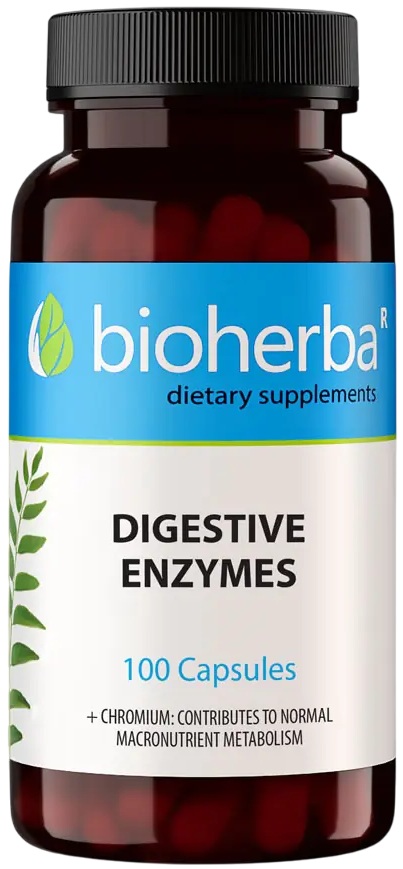 Digestive Enzymes, 100 capsule, Bioherba
