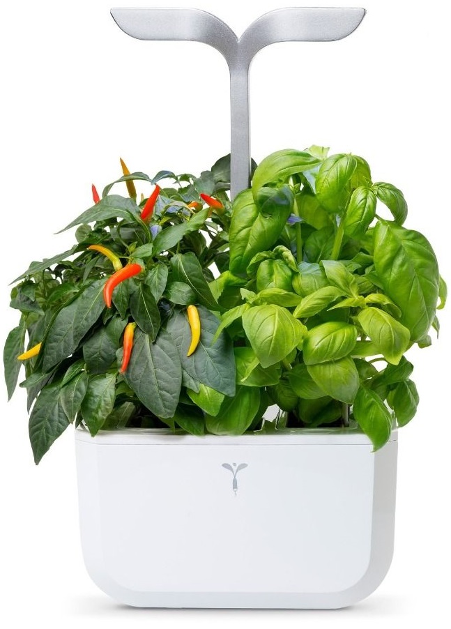 Gradină de casă Veritable - Exky, 4 W, 2 umpluturi, albe-oţel inoxidabil