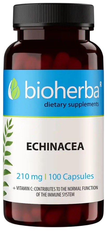 Echinacea, 210 mg, 100 capsule, Bioherba