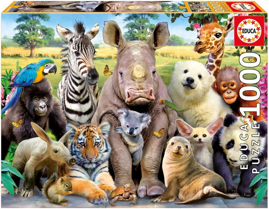 Puzzle Educa din 1000 de piese - Poza clasei