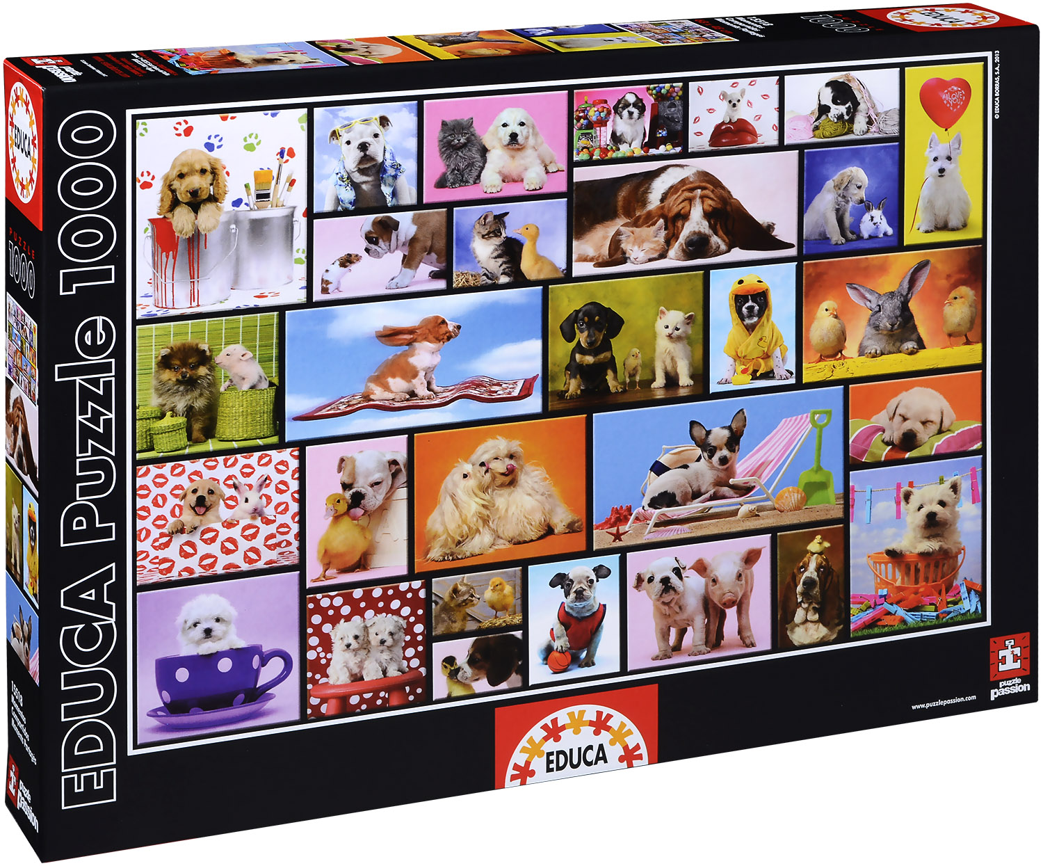 Puzzle Educa din 1000 de piese - Momente impartasite