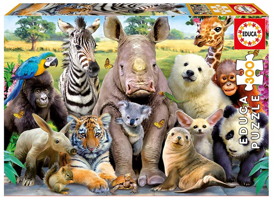 Puzzle Educa din 300 de piese - It's A Class Photo