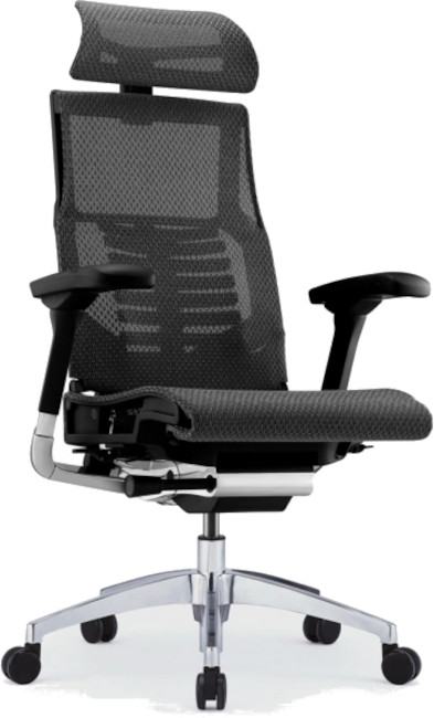 Scaun ergonomic Antares - POFIT 2, negru