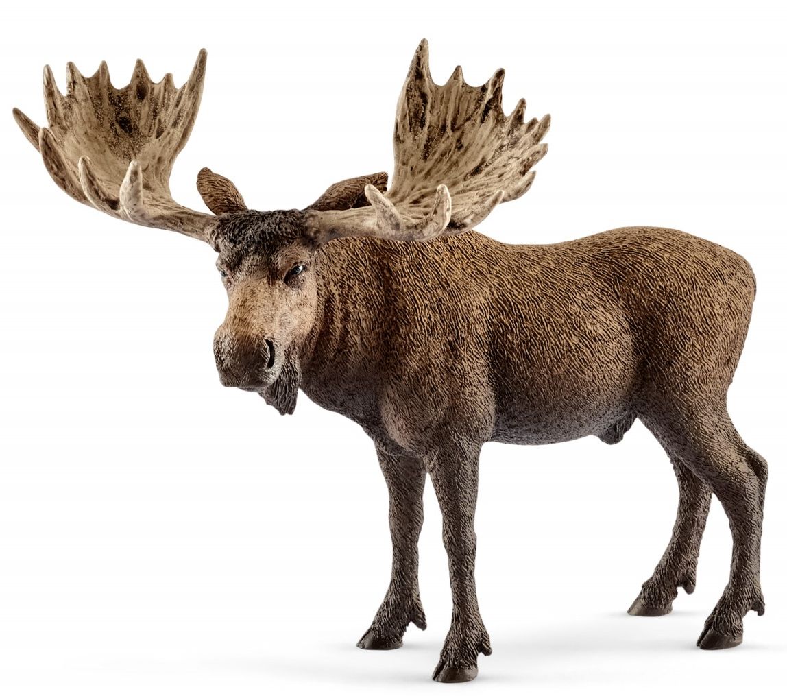 Figurina Schleich Wild Life Europa - Elan, mascul