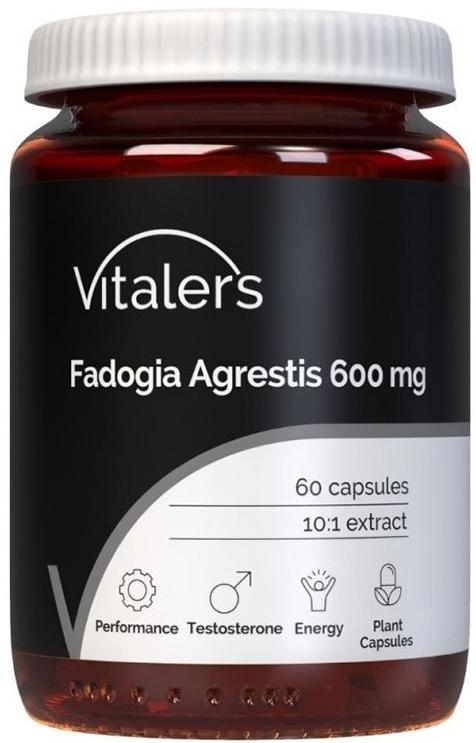 Fadogia, 600 mg, 60 capsule, Vitaler's
