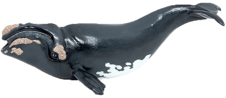 Figurină Papo Marine Life - Balenă din Groenlanda