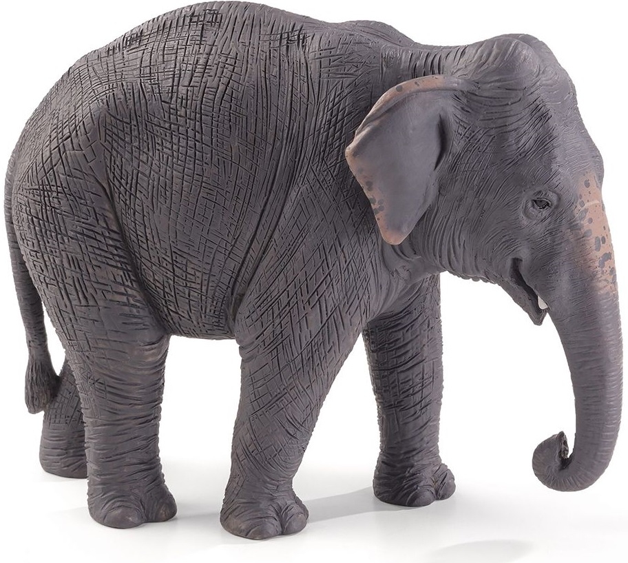 Figurina Mojo Wildlife - Elefantul asiatic