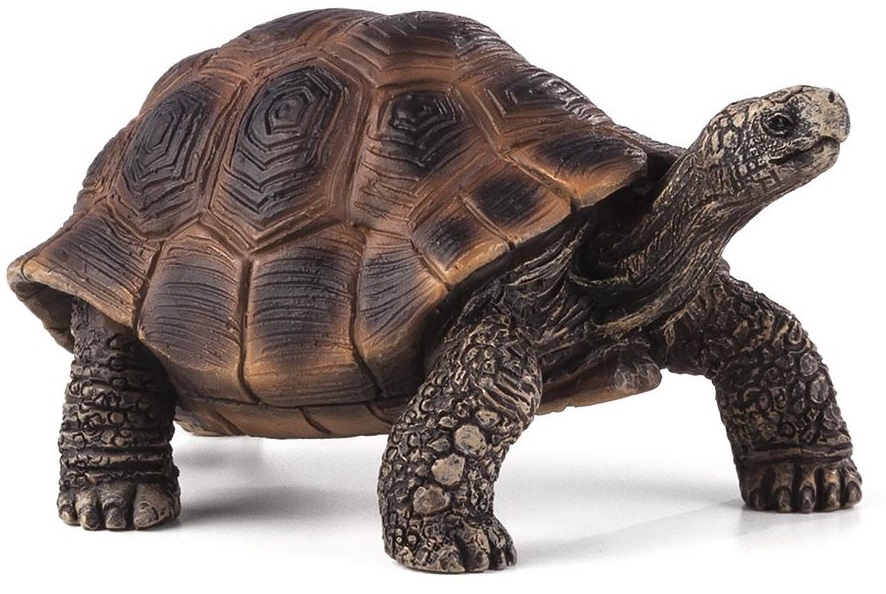 Figurina  Mojo Woodland - Broasca testoasa gigant
