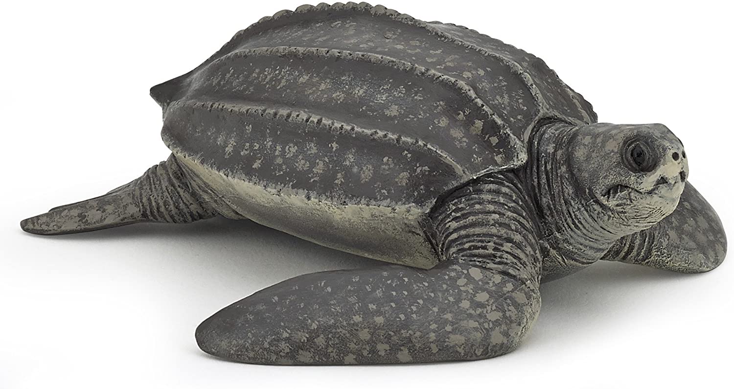 Figurina Papo Marine Life - Broasca testoasa din piele