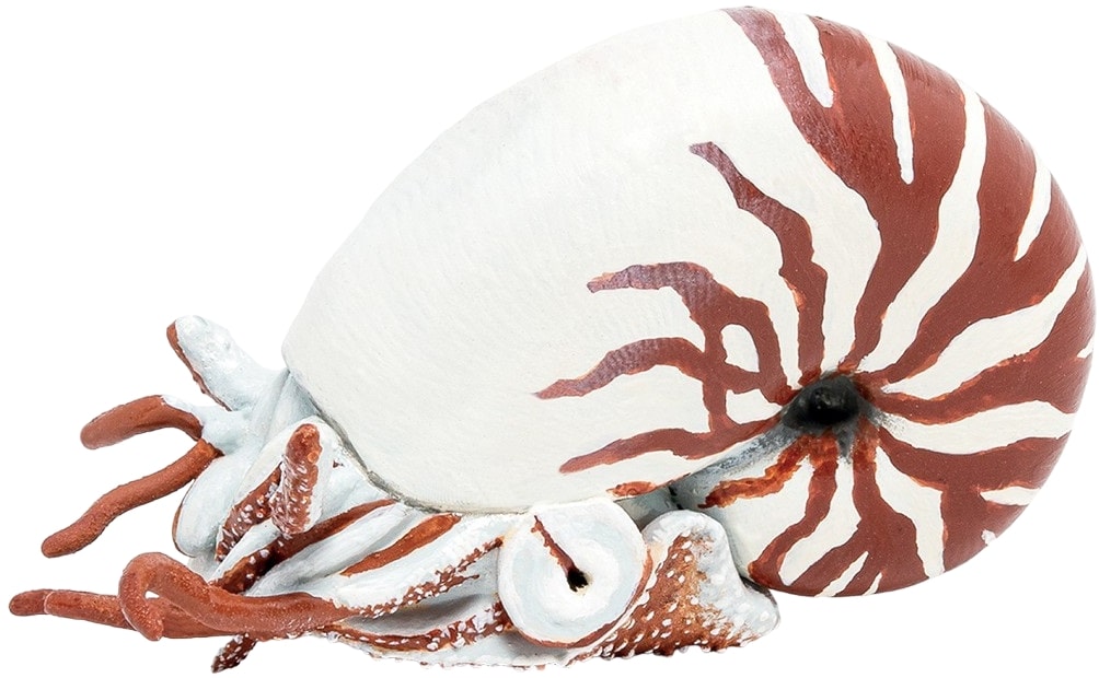 Figurină  Papo Marine Life - Nautilus