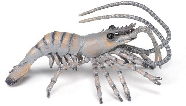 Figurina Papo Marine Life - Creveti