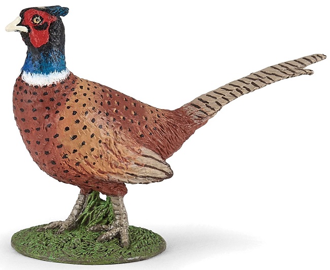 Figurina apo Wild Animal Kingdom - Fazan